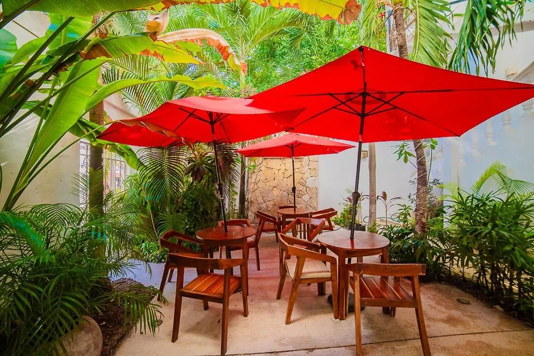 ***  Hotel San Vicente Playa del Carmen Mexico